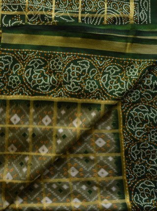 005 Main green sari