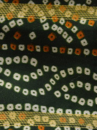 005 green sari details